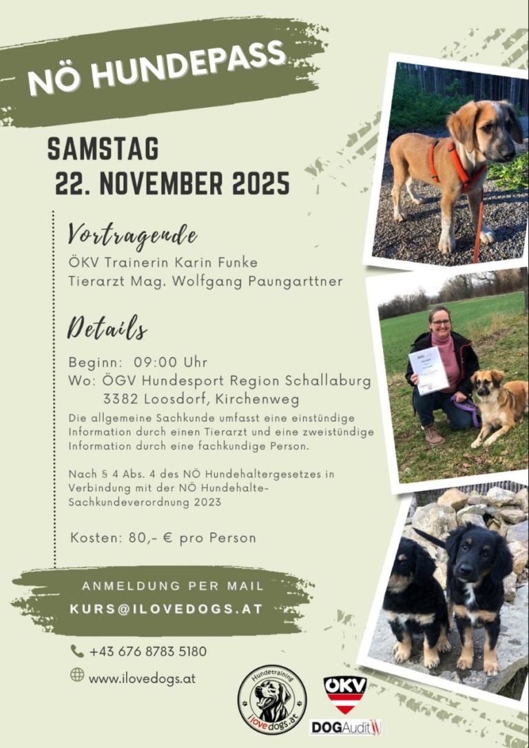 hundepass-november-2025